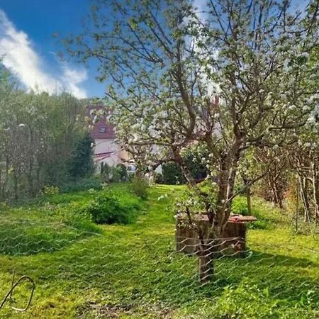 Villentrois-Faverolles-en-Berry Maison De Caractere A 10 Minutes Du Zooparc Beauval מראה חיצוני תמונה