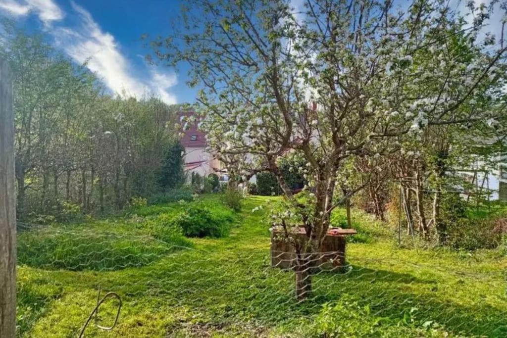 Villentrois-Faverolles-en-Berry Maison De Caractere A 10 Minutes Du Zooparc Beauval מראה חיצוני תמונה